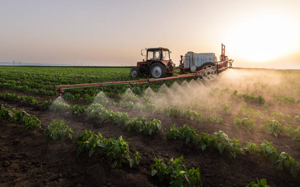 Best Pest Inspection Near Me  in Princeton, MN