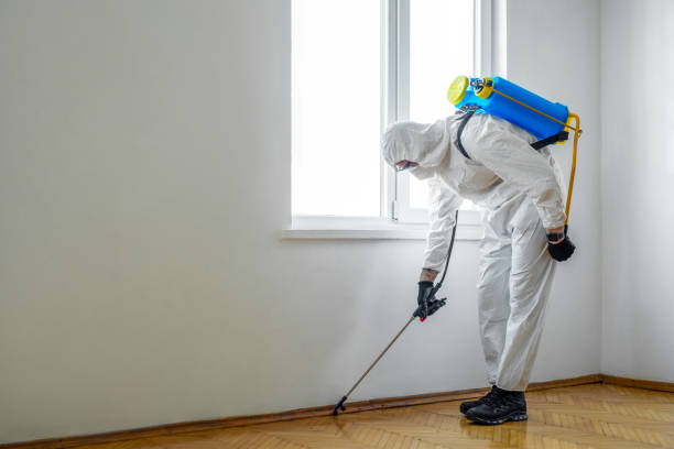Best Wildlife Control Services  in Princeton, MN