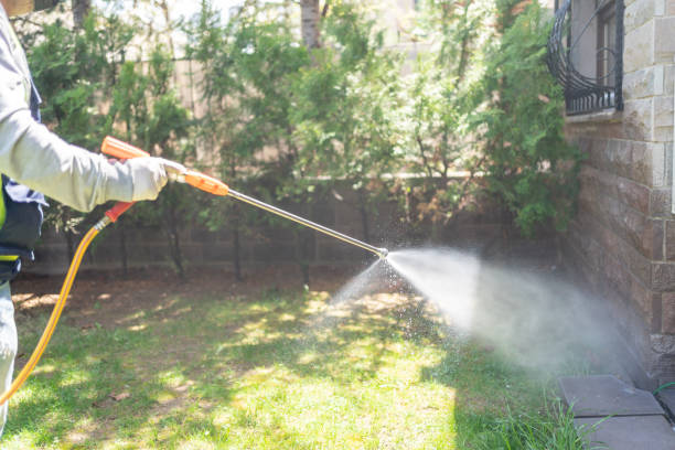 Best Mosquito Control Services  in Princeton, MN