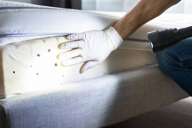Best Affordable Pest Control Services  in Princeton, MN