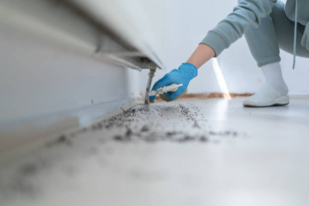 Best Cockroach Control Services  in Princeton, MN